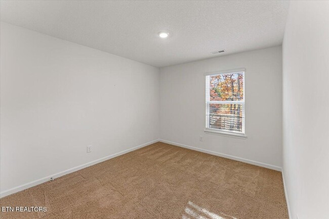 Building Photo - 1013 Curly Top Ln