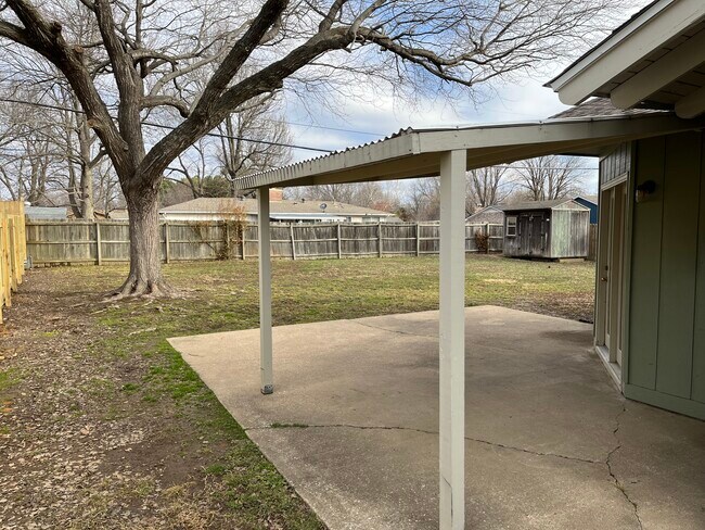 Backyard - 215 Magnolia Rd