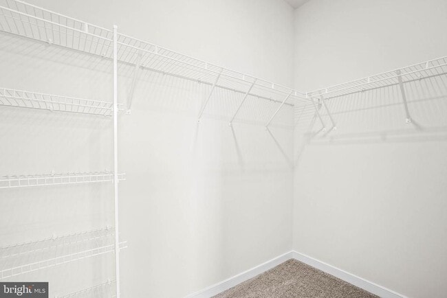 Building Photo - 6232 Folly Ln