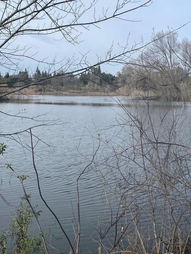 Building Photo - The American River is your backyard! 2 Bed...