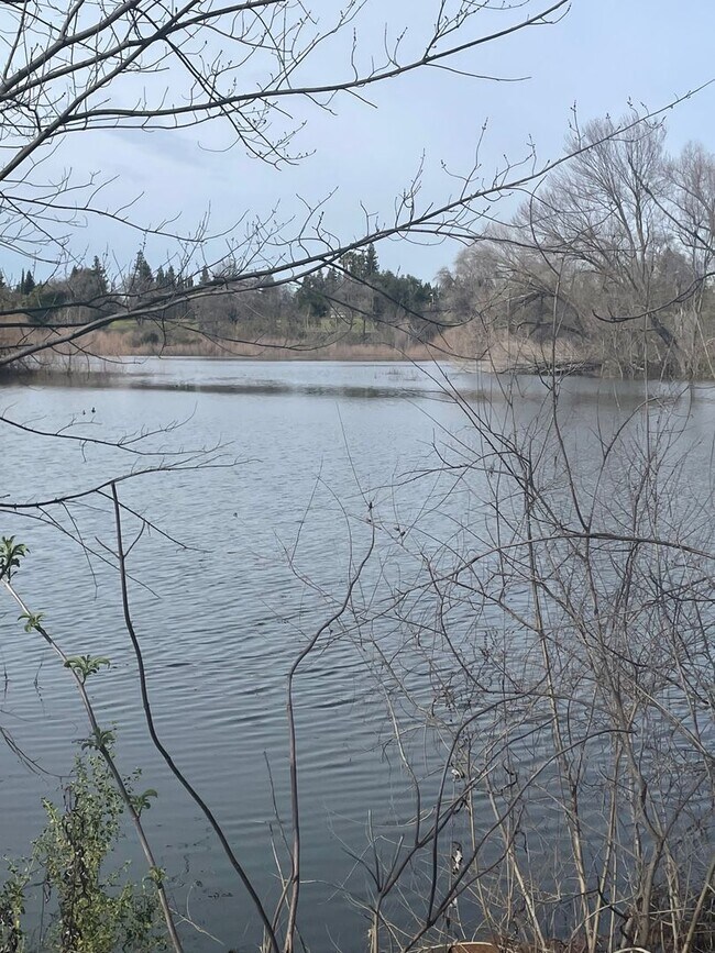Building Photo - The American River is your backyard! 2 Bedroom 2.5 Bath Townhome