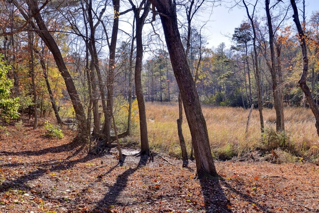 Building Photo - Rancher with backyard views