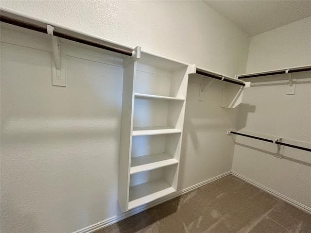 Building Photo - 2113 Donker Dr