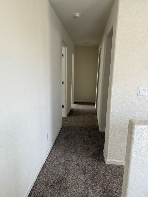 Building Photo - 4312 Ibiza Island Way