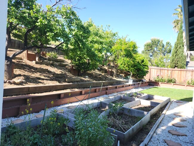 Building Photo - 2237 Daffodil Dr