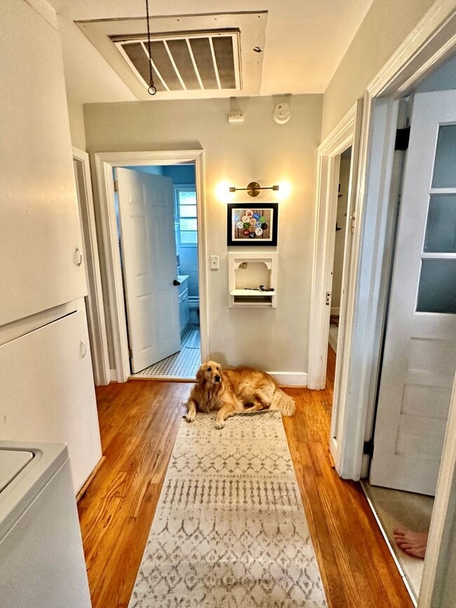 Building Photo - 2 Bedroom | 1 Bathroom Home – Downtown Cha...