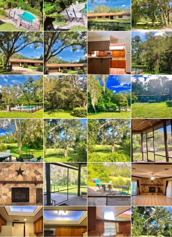 Building Photo - 4807 Shetland Trail