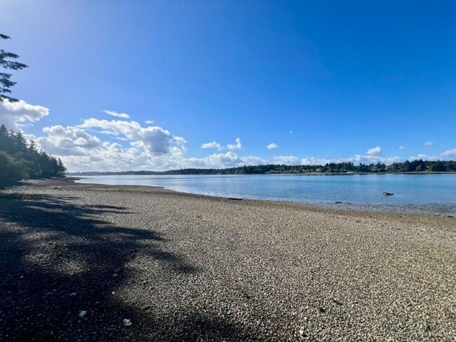 Building Photo - Beachfront Cabin - Water Included