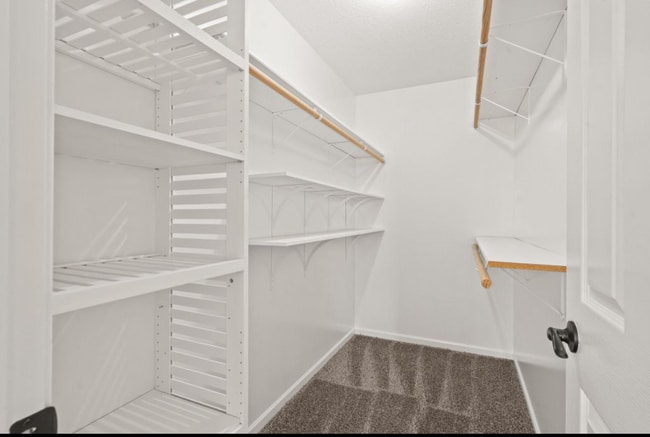 Building Photo - 3905 Jungle Tree Dr