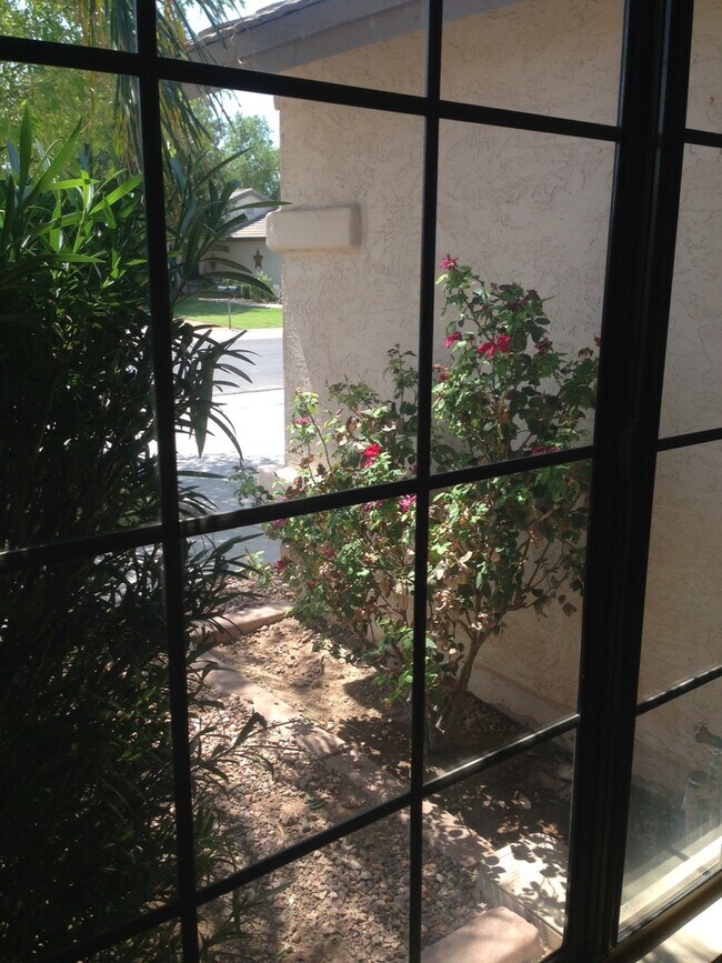 Building Photo - 2316 E Stottler Dr