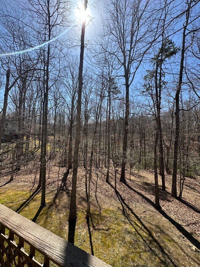 Building Photo - Lake Monticello Rental 3Bed/3Bath House
