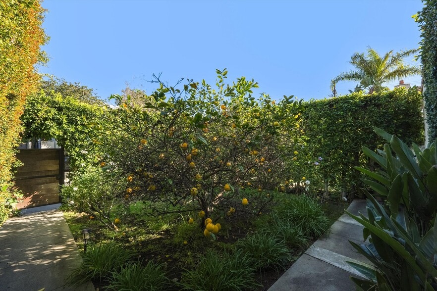 Building Photo - 809 N La Jolla Ave