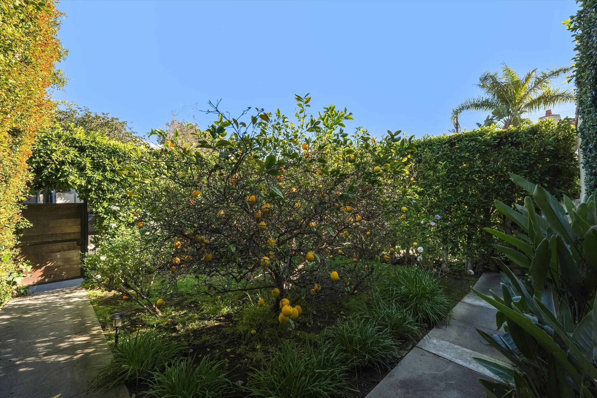 Building Photo - 809 N La Jolla Ave