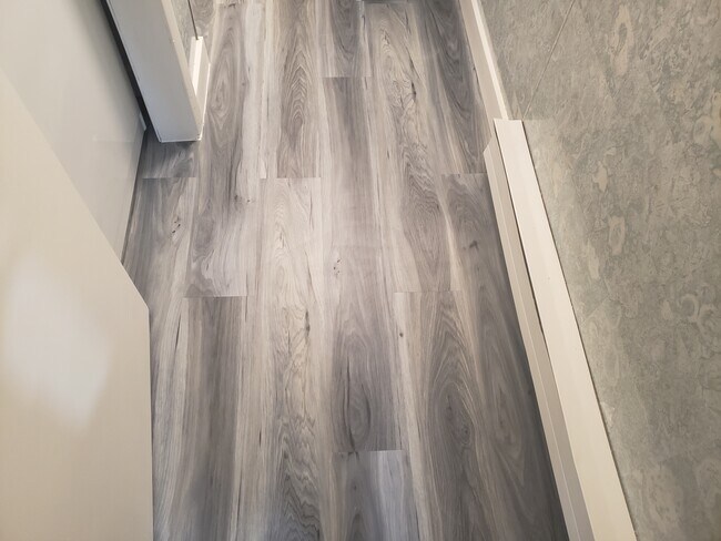 Building Photo - 19 Maplewood Ave