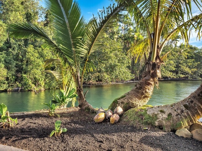 Building Photo - Oceanfront Estate: The Honolii Hale