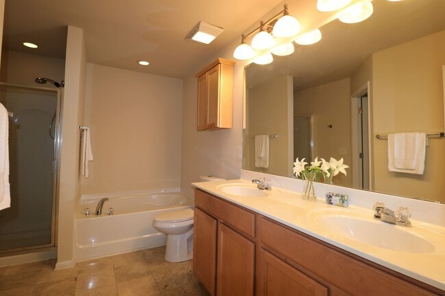Building Photo - 982 Silver Leaf Dr