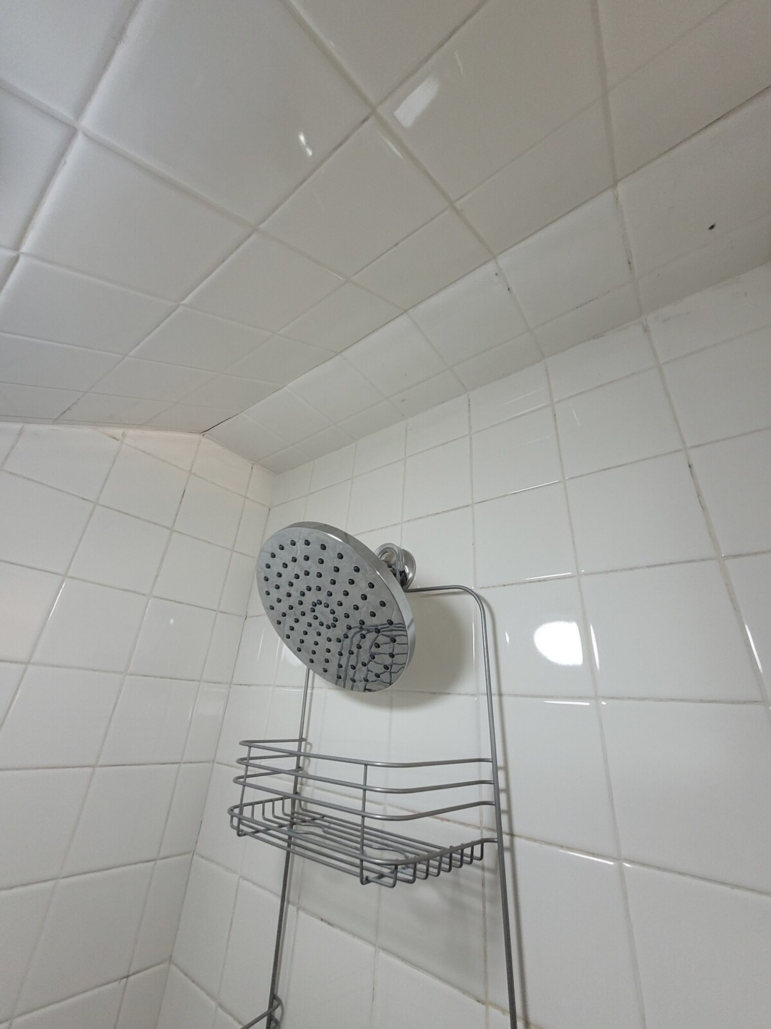 Building Photo - 3 Dean Ave