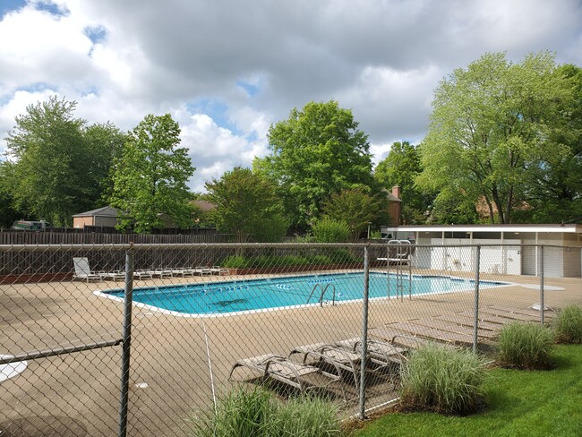 Pool - 200 N Maple Ave