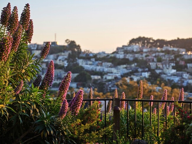 Building Photo - Forest Knolls: Luxuriously Remodeled Single Family Home w/ Expansive Views, Family Room, Office, ...