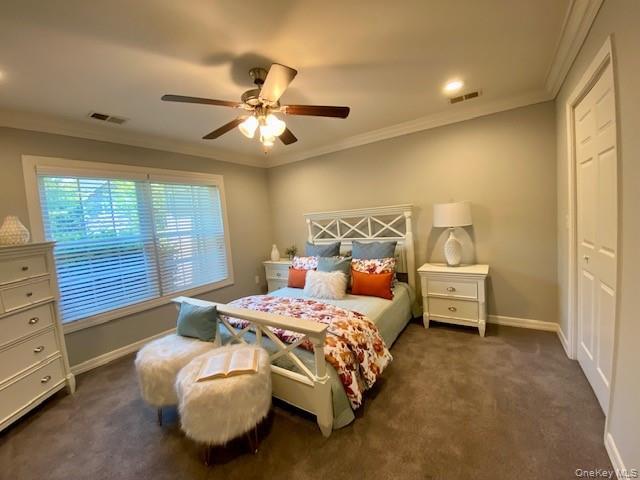 Building Photo - 907 Dolphin Ln