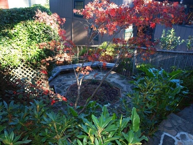 Building Photo - Pet Friendly Mill Valley Home w/ Hardwood floors and View