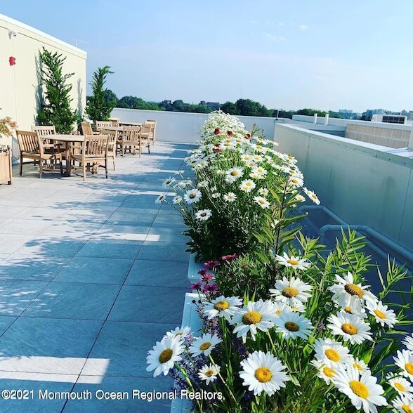 Building Photo - 57-61 Brighton Avenue Unit 301