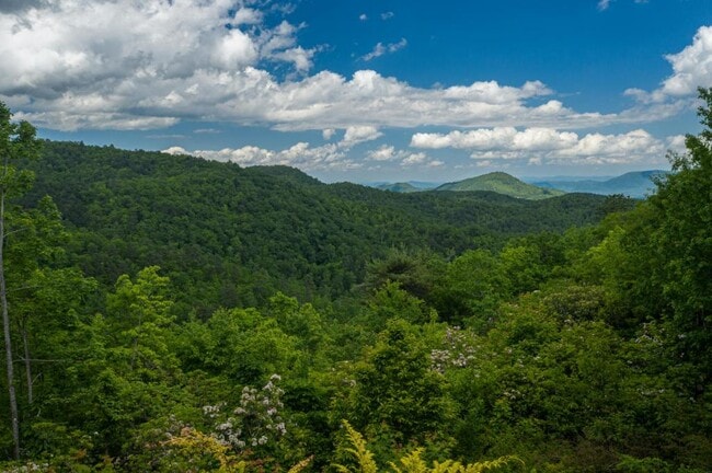 Building Photo - 348 Winding Ridge