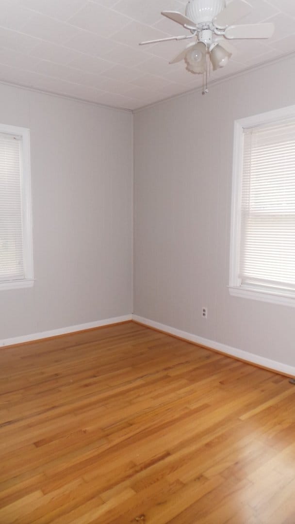 Building Photo - ~~~ Charming AND Convenient ~~~