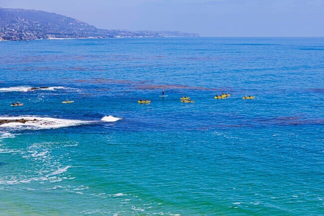 Building Photo - Incredible ocean views and private steps t...