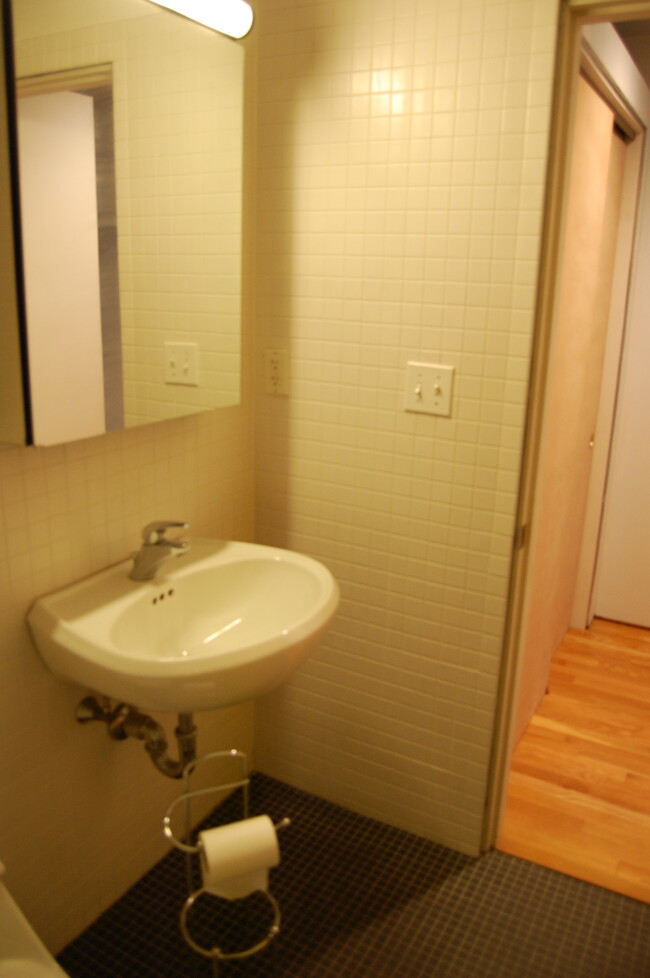 Bathroom right side modern sink, toilet, full bath - 177 Lincoln Rd