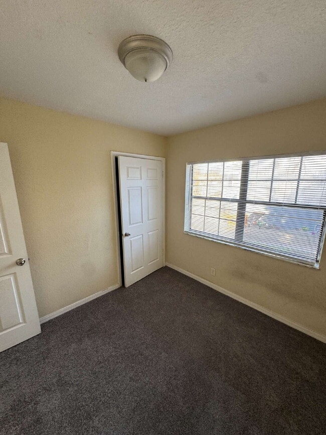 Building Photo - "Spacious 4-Bedroom Oasis with 2 Baths in Tampa – Your Perfect Family Retreat!"