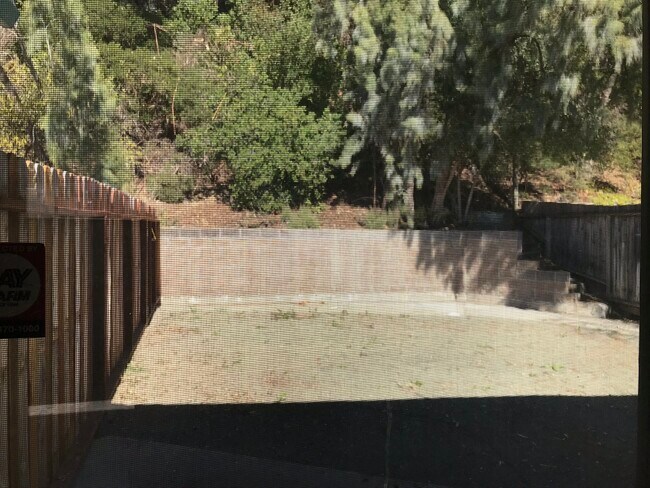 Back yard - 542 Bonita Ave