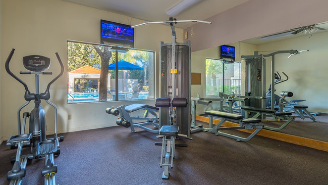 Fitness Center - Estancia