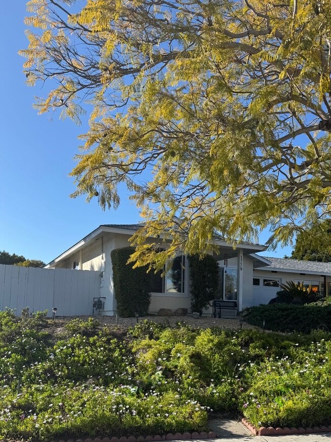 Building Photo - +55 Community, 2 BD with AC