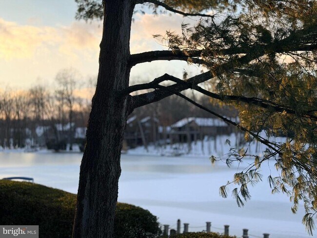 Building Photo - 11292 Harbor Ct