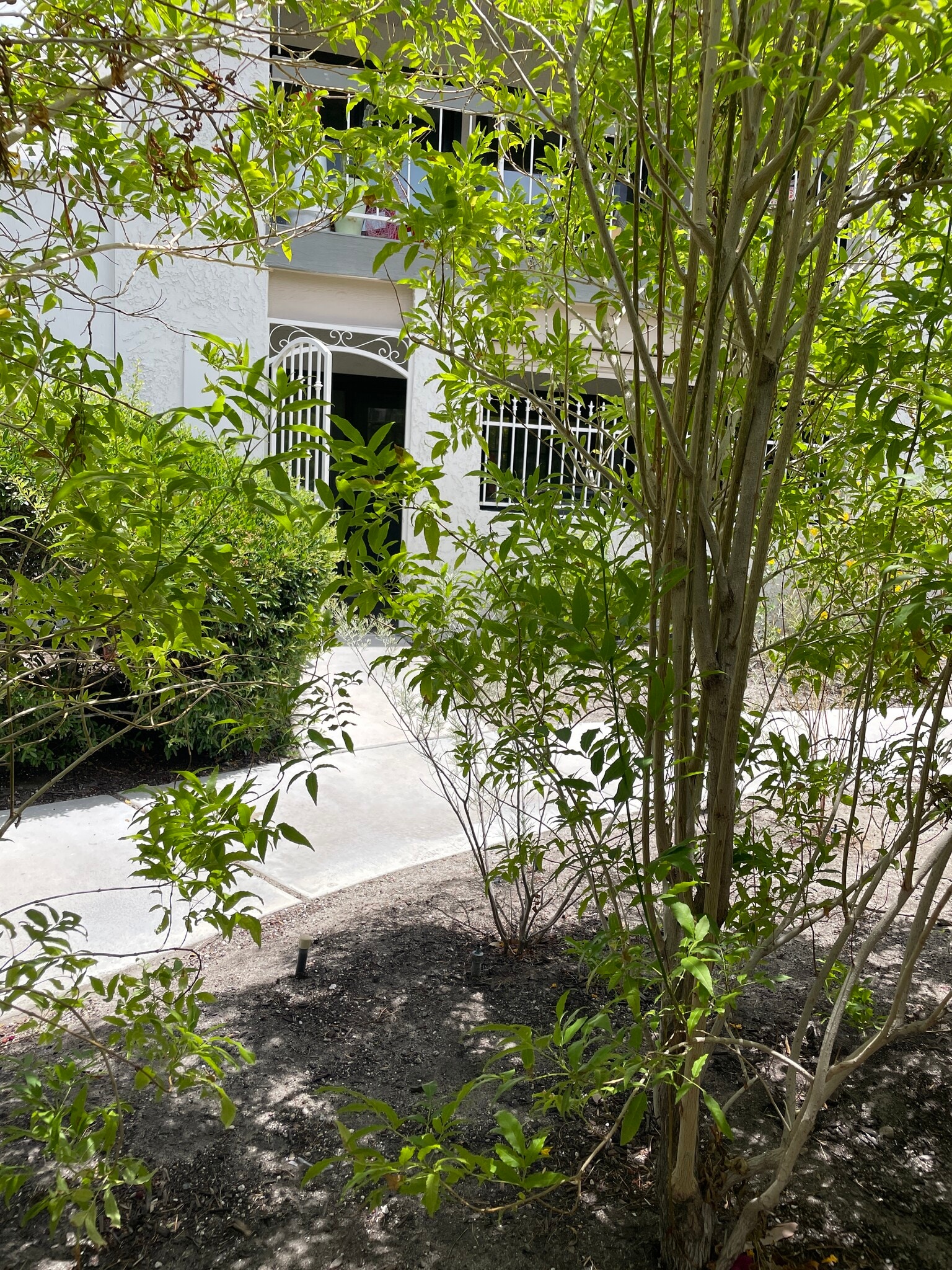 Building Photo - 453 E Via Escuela