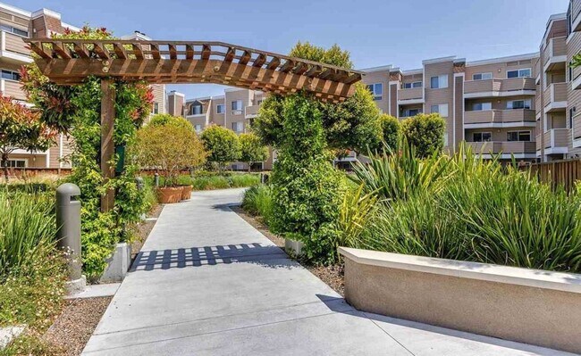 Building Photo - Largest 1-Bedroom Layout with In Unit Laundry