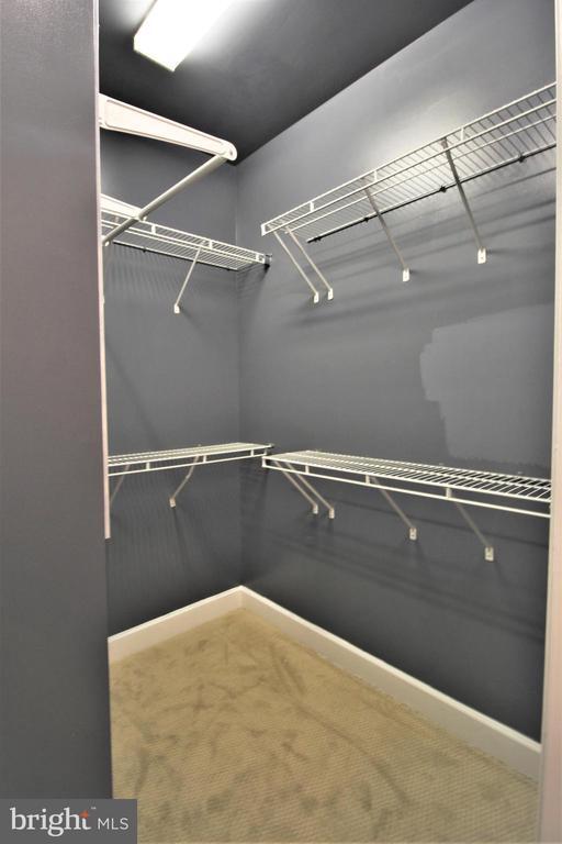 Building Photo - 2382 Brookmoor Ln