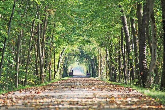 Building Photo - 10268 Cleveland Rd