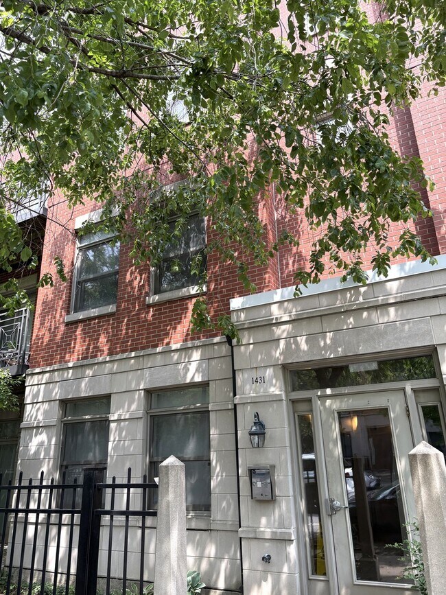 Primary Photo - 1431 S Halsted St