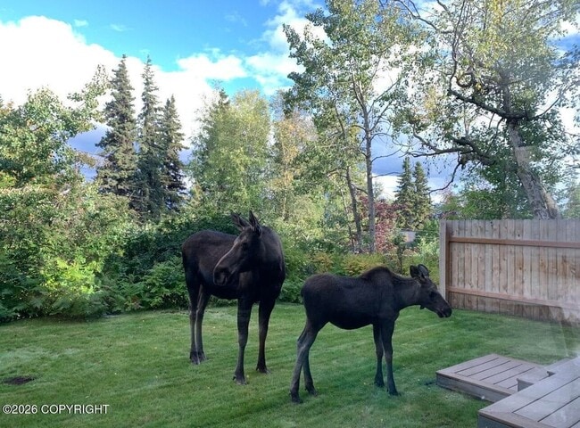 Building Photo - Fully furnished ranch style in downtown Anchorage