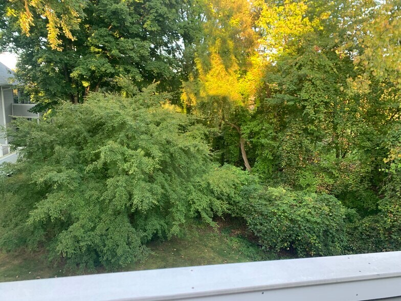 Building Photo - 1309 Sunfield Dr