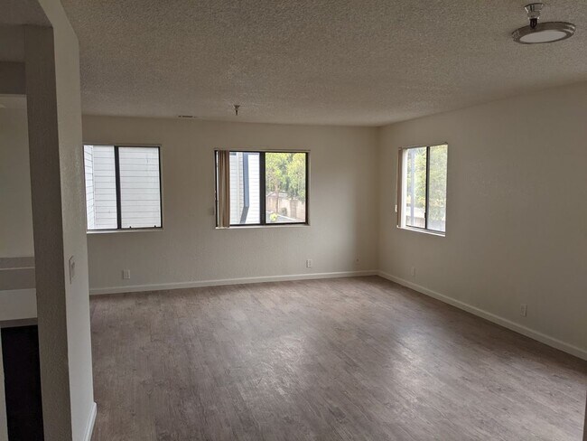 Building Photo - 55 Stenner St