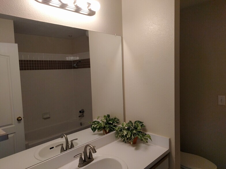 Building Photo - 6000 Shepherd Mountain Cove