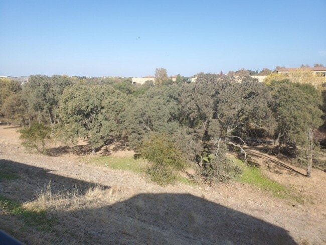 Building Photo - East Roseville Gated Stone Point  4 Bed 3 ...