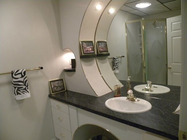 Art deco bathroom in lower level - 6245 Iron Bridges Rd