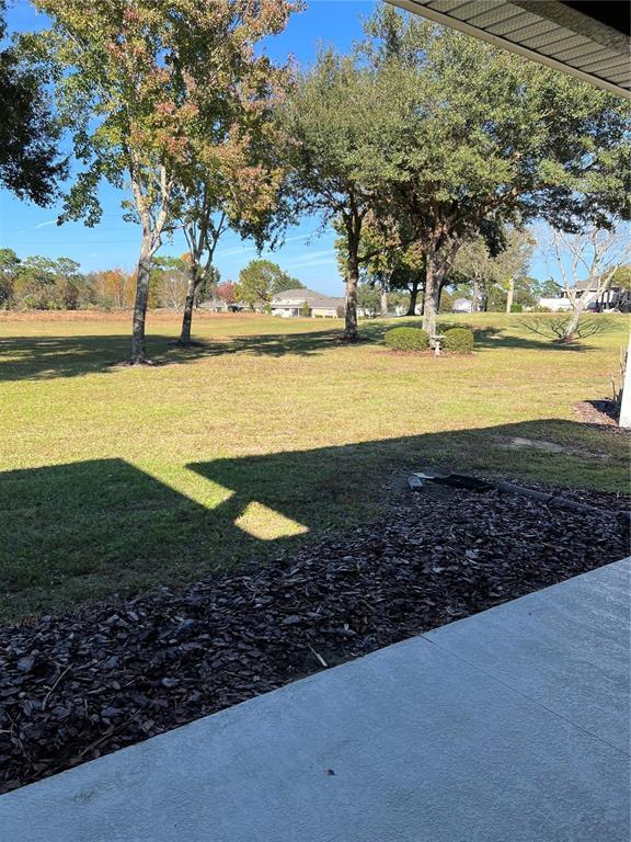 Building Photo - 33614 Campeon Ct