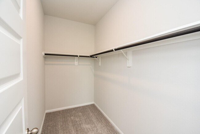 Primary Photo - 8319 Bristlecone Pne Wy