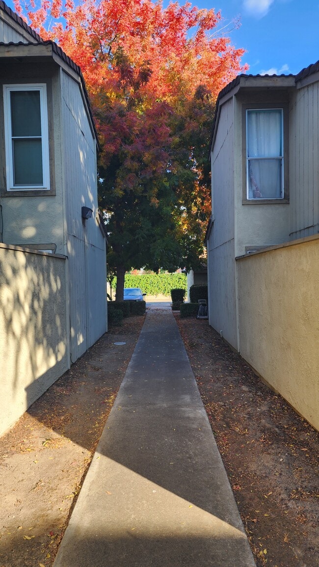 Building Photo - 2116 Mt Vernon Dr
