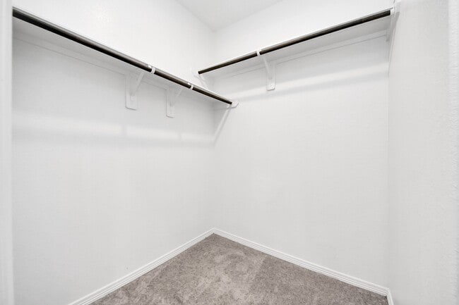 Building Photo - 24719 Colony Meadow Trl